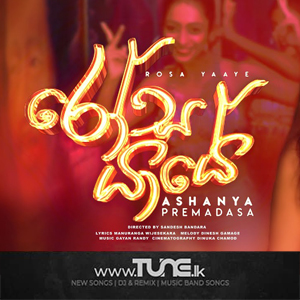 Rosa Yaaye  Sinhala Song MP3