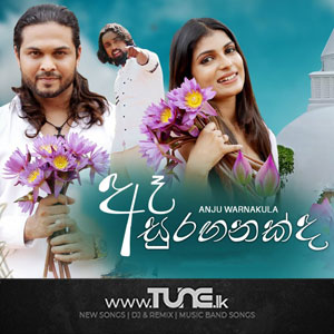 Ae Suraganakda Sinhala Song Mp3