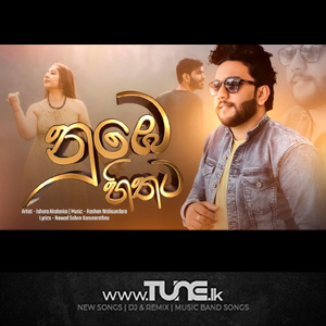 Nube Hithata Sinhala Song MP3