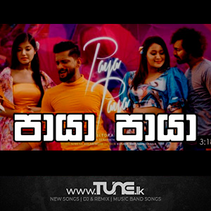 Paya Paya Rosa Teledrama Song Sinhala Song Mp3