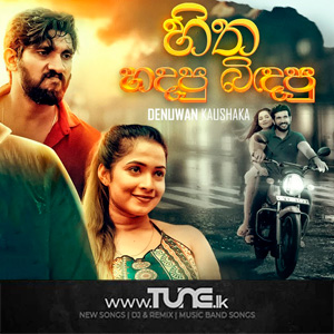 Hitha Hadapu Bindapu Sinhala Song MP3