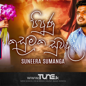 Pipunu Kusumaka Suwanda  Sinhala Song Mp3