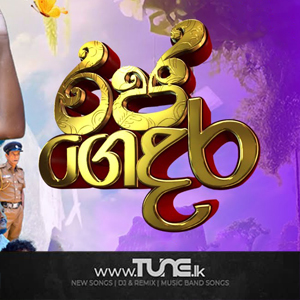 Raja Gedara Teledrama Theme Song  Sinhala Song Mp3