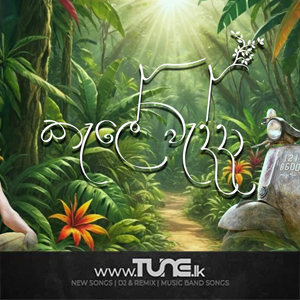 Kele Wadda   Sinhala Song MP3