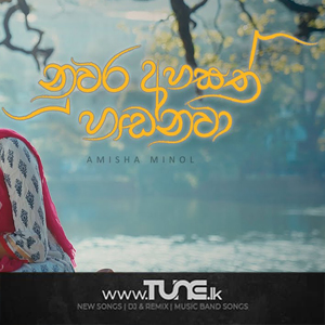 Nuwara Ahasath Hadanawa Sinhala Song MP3
