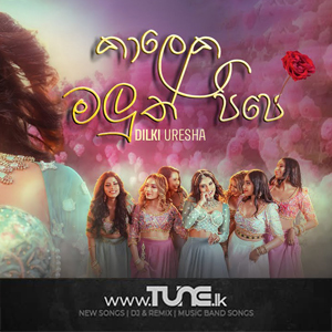Kaaleka Maluth Pipe   Sinhala Song MP3