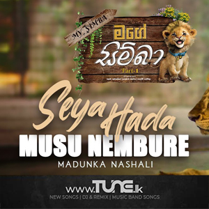 Seya Hada Musu Nembure My Simba Movie Song  Sinhala Song MP3